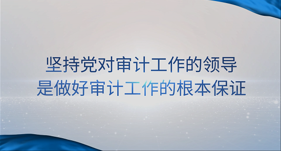 [專家談審計法]王偉：堅持黨對審計工作的領導是做好審計工作的根本保證 